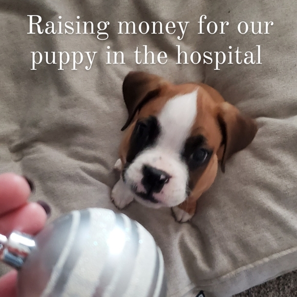 Other - READ ⌛⏳🌡🍃🌺